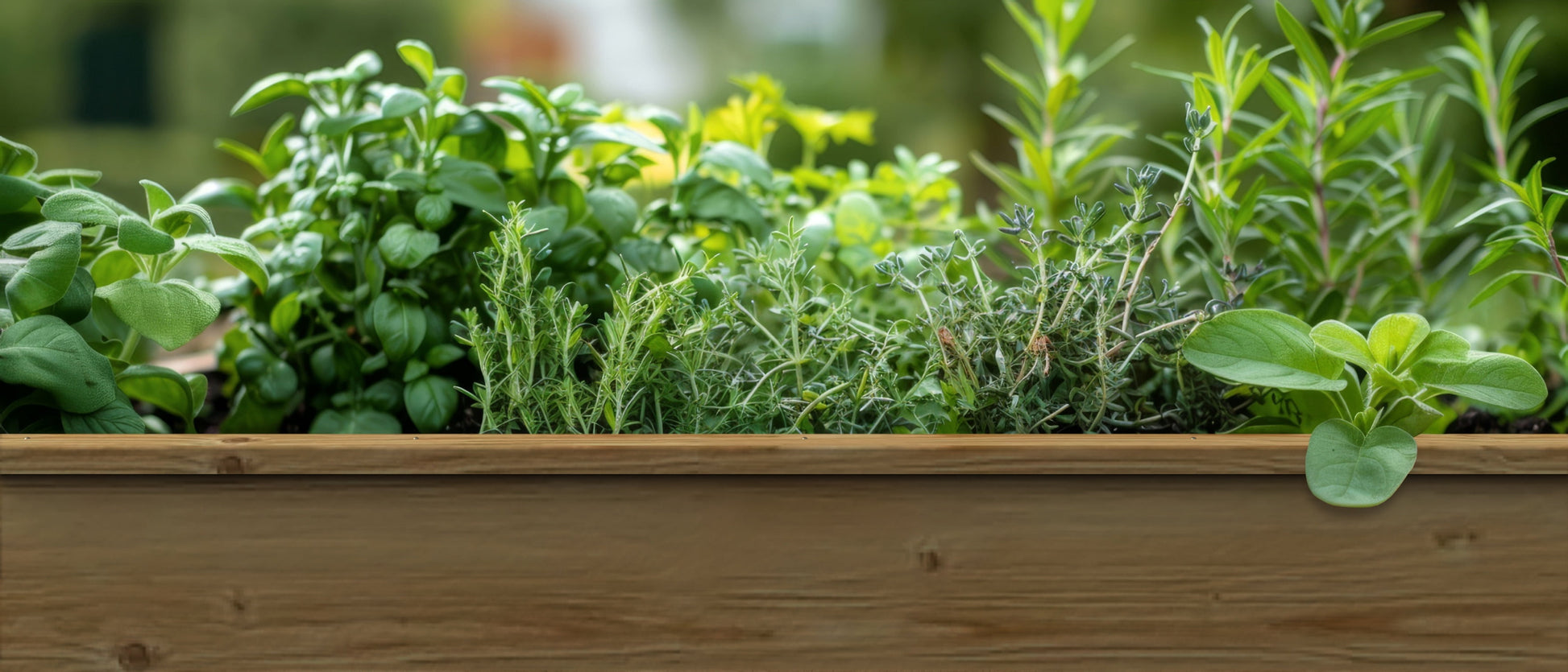 Algreen Wood Raised Garden Bed